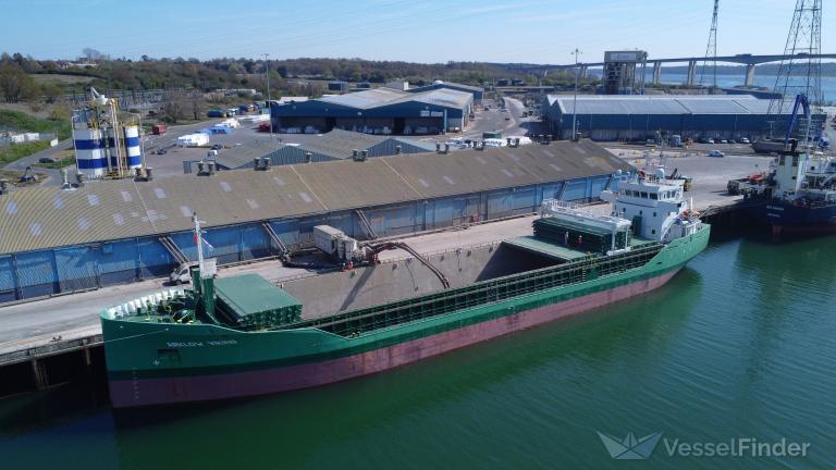 ARKLOW VIKING