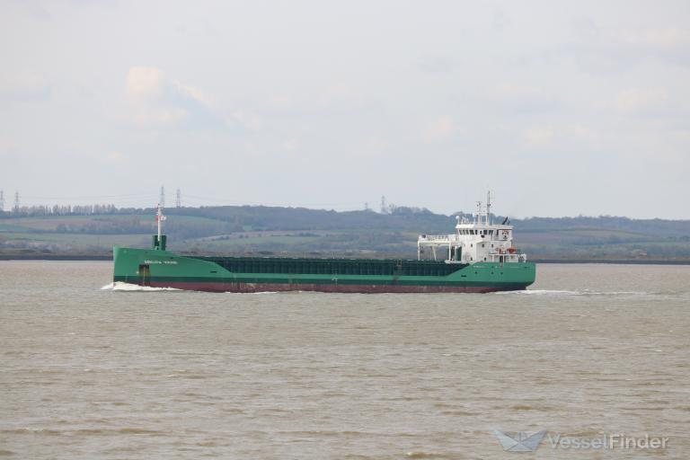 ARKLOW VIKING