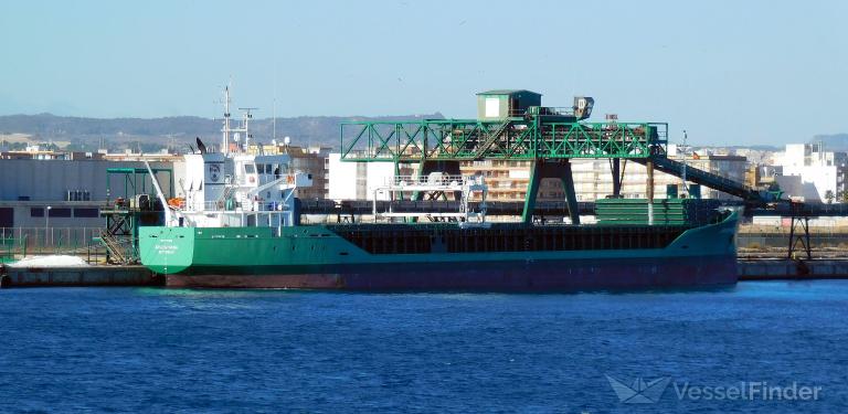 ARKLOW VIKING