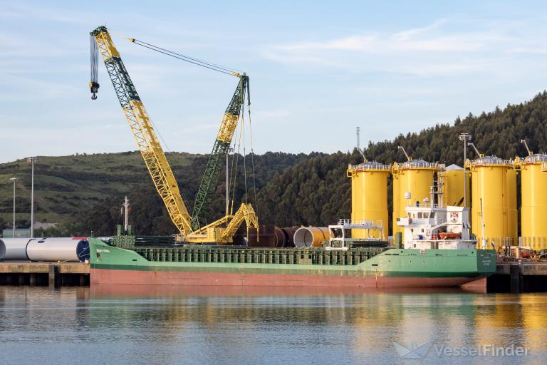 ARKLOW VIKING