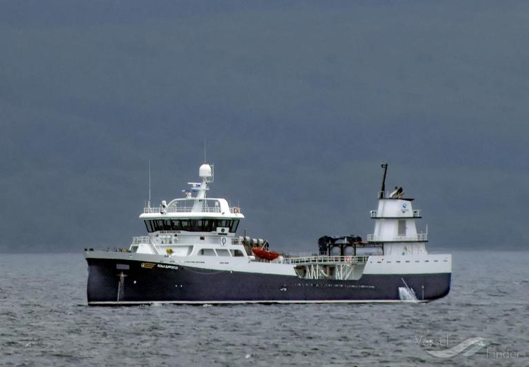 RONJA SUPPORTER photo