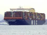MSC-VIVIANA