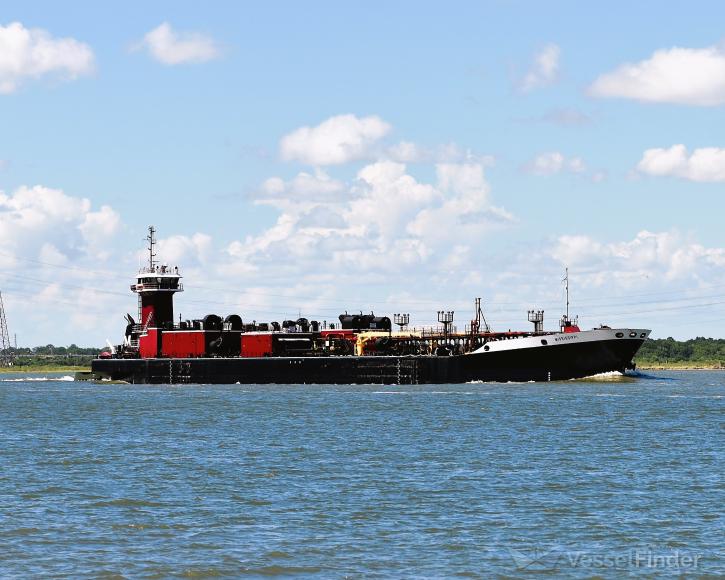 LEIGH ANN MORAN photo