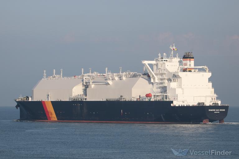 DIAMOND GAS ORCHID photo