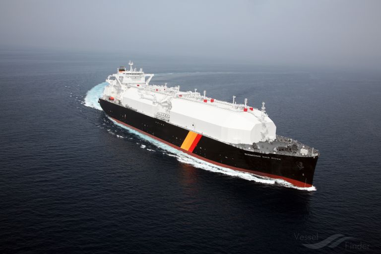 DIAMOND GAS ROSE photo