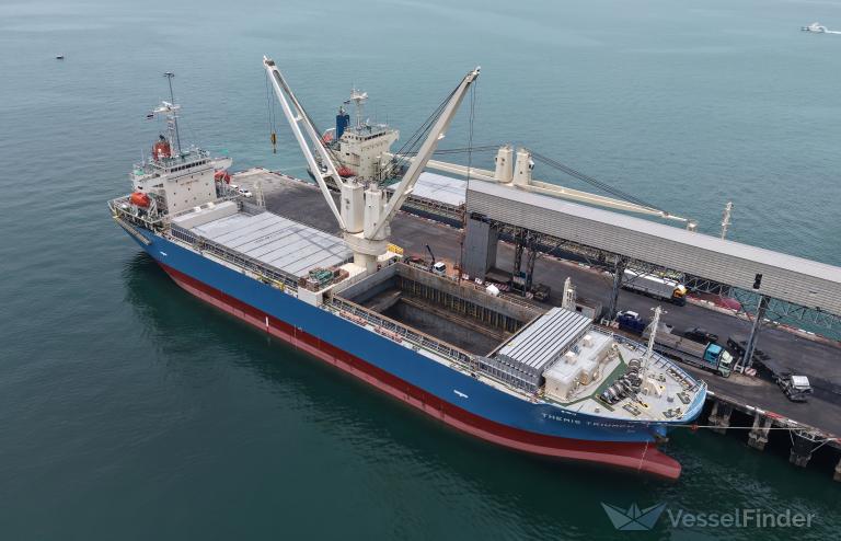 THEMIS TRIUMPH photo