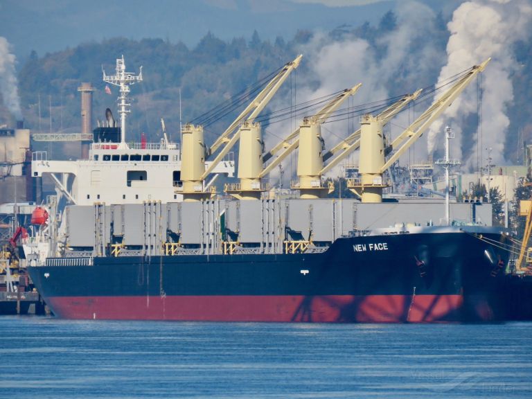 STELLAR INDIGO photo