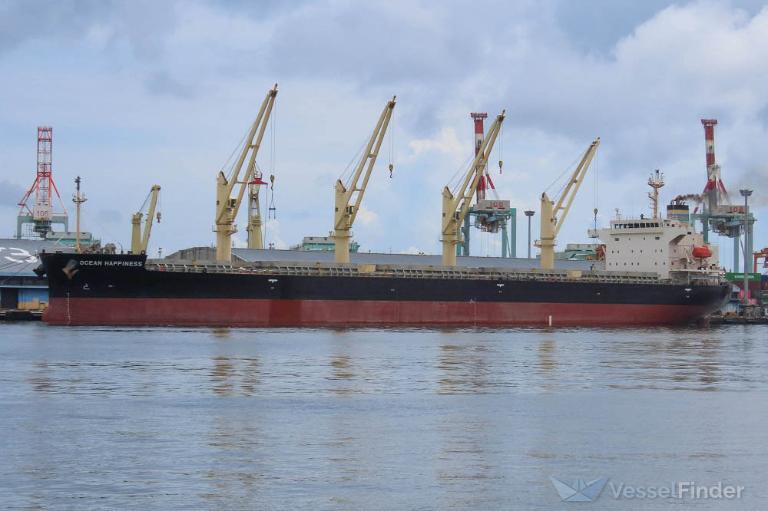 OCEAN HAPPINESS photo