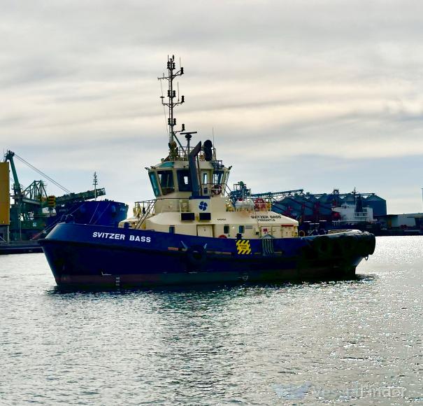 SVITZER BASS photo