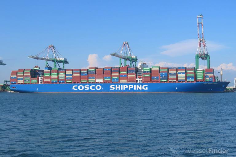 COSCO TAURUS photo