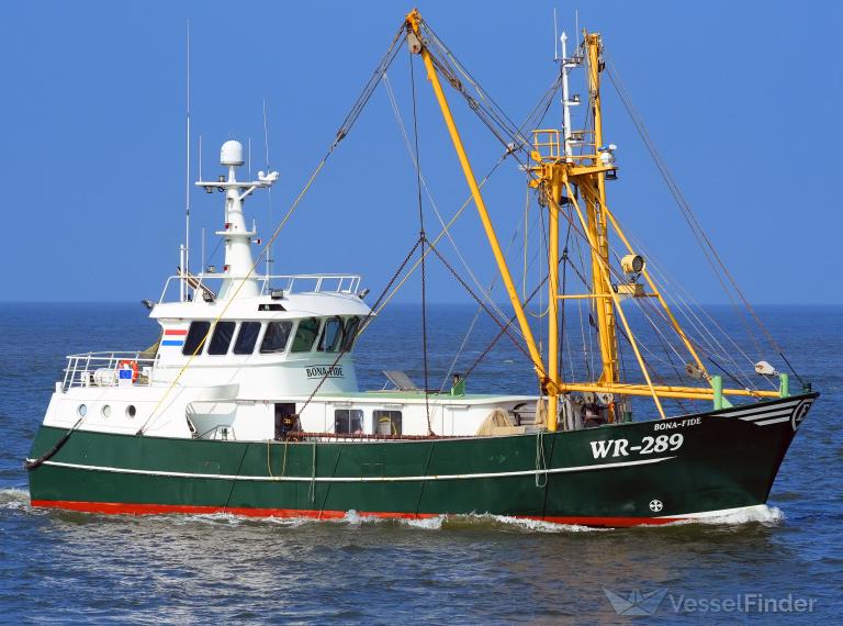 WR289 BONA FIDE photo