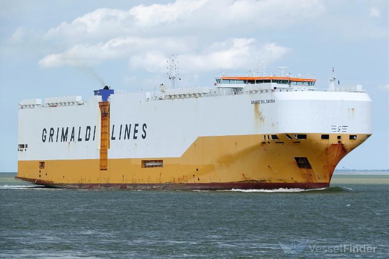 GRANDE BALTIMORA photo