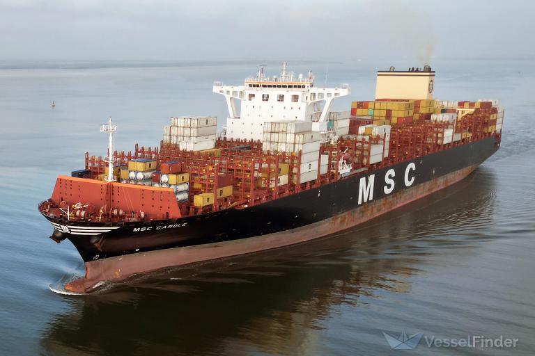 MSC CAROLE photo