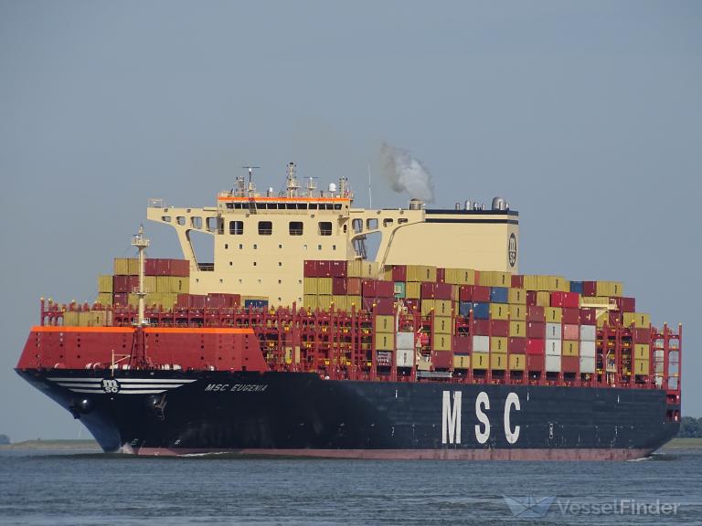 MSC EUGENIA photo