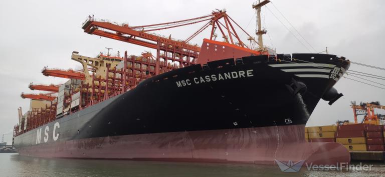 MSC CASSANDRE photo