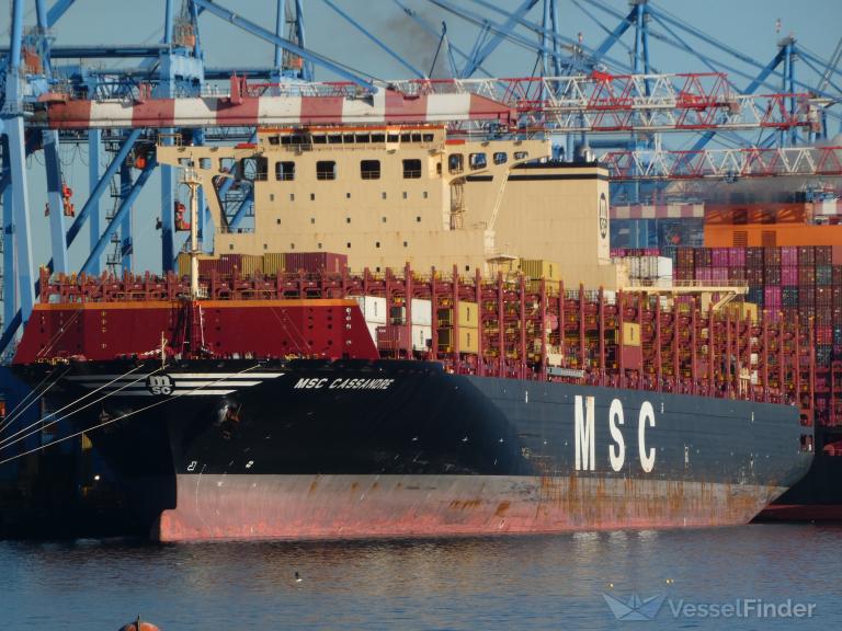 MSC CASSANDRE photo