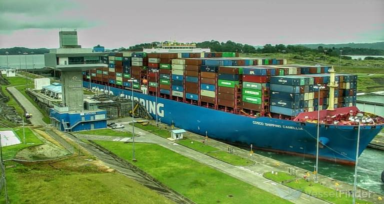 COSCO CAMELLIA photo