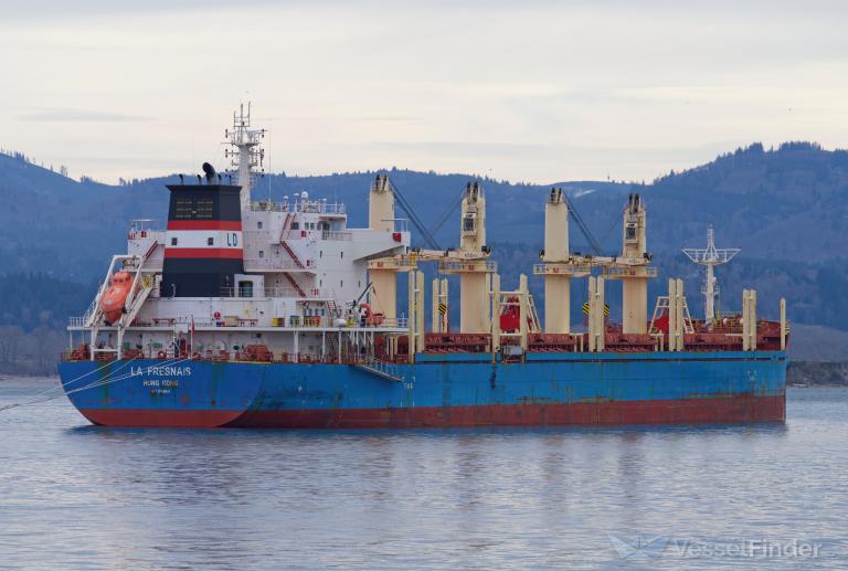 AFRICAN WOODSTAR photo