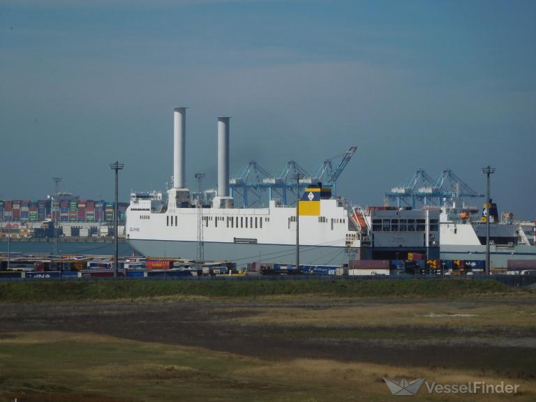 DELPHINE photo, Ro-Ro Cargo Ship - Taken on Apr 12, 2025 - VesselFinder