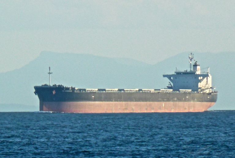TAI KINGDOM, Bulk Carrier - Details and current position - IMO 9789855 ...