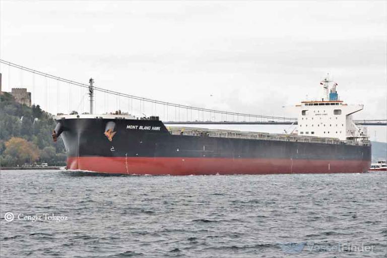 MONT BLANC HAWK photo