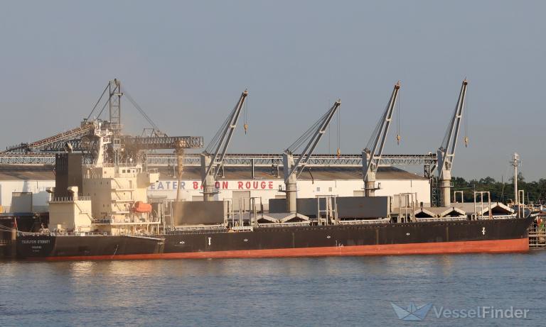 TSUKUYOMI ETERNITY photo