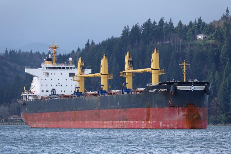 DESERT DIGNITY photo