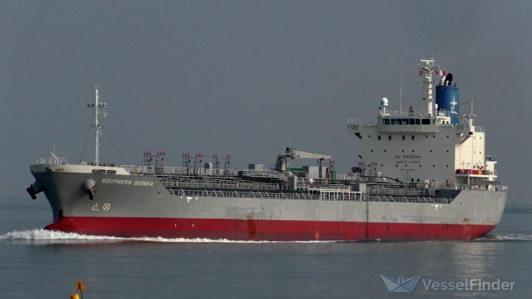 SOUTHERN QUOKKA photo