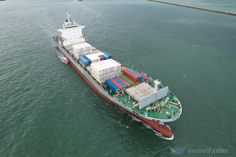 STARSHIP TAURUS photo