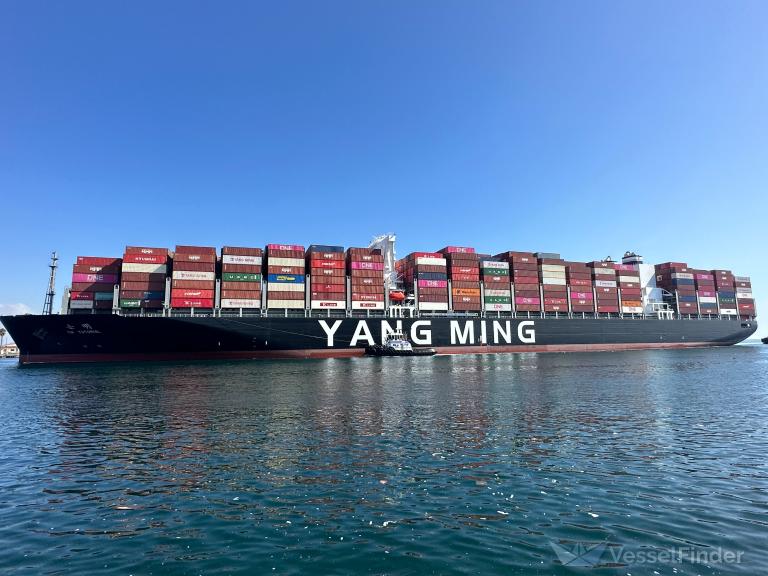 YM TUTORIAL, Container Ship - Details and current position