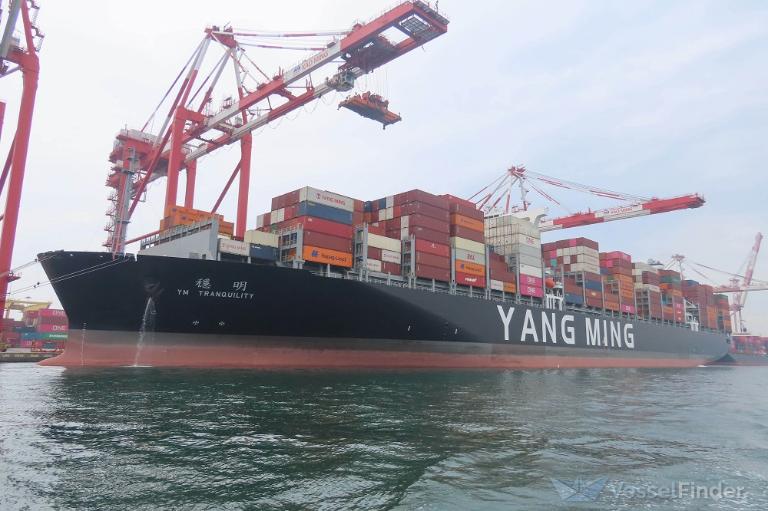 YM TRANQUILITY photo