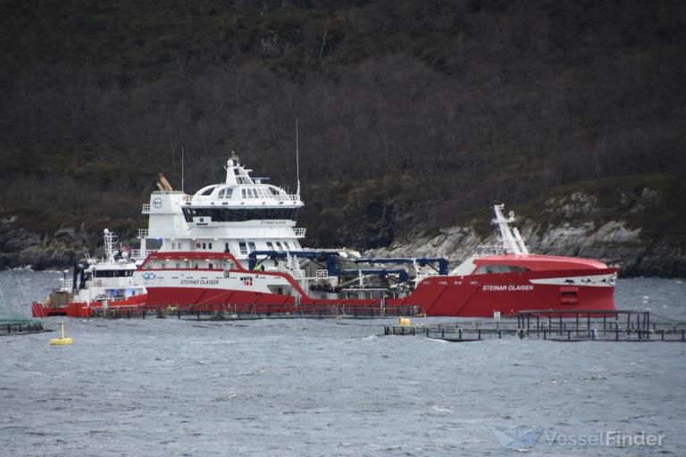 STEINAR OLAISEN photo