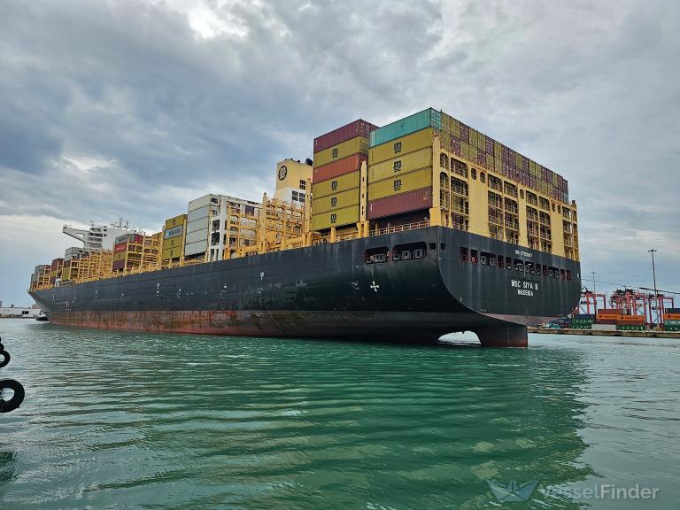 MSC SIYA B photo