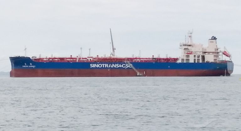 FOREVER HARMONY photo