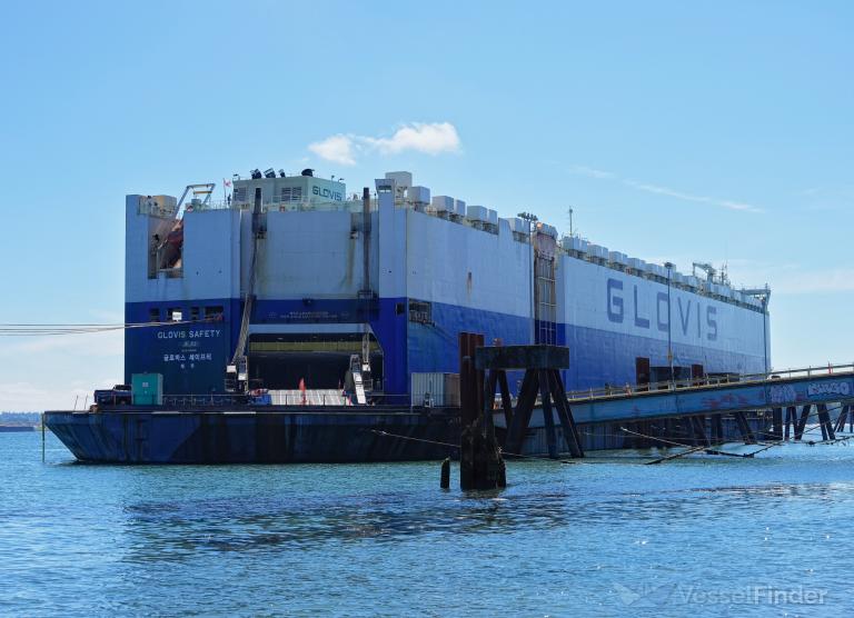 GLOVIS SAFETY