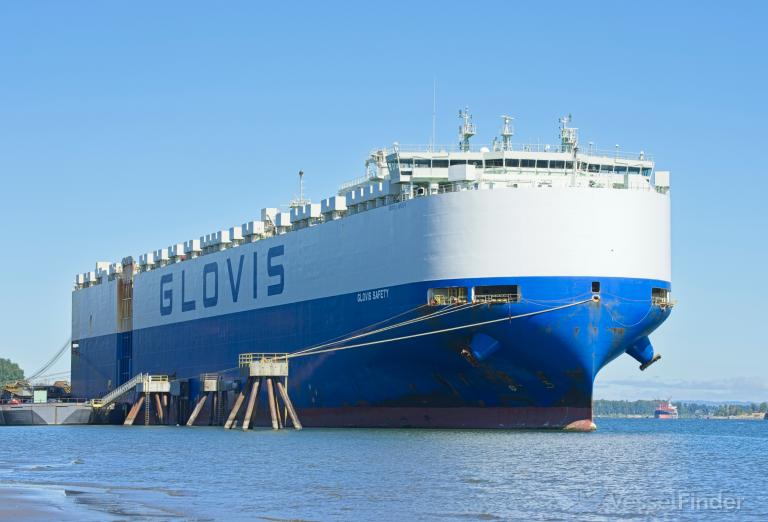 GLOVIS SAFETY