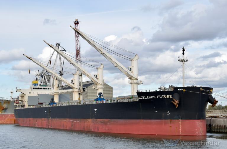 LOWLANDS FUTURE photo