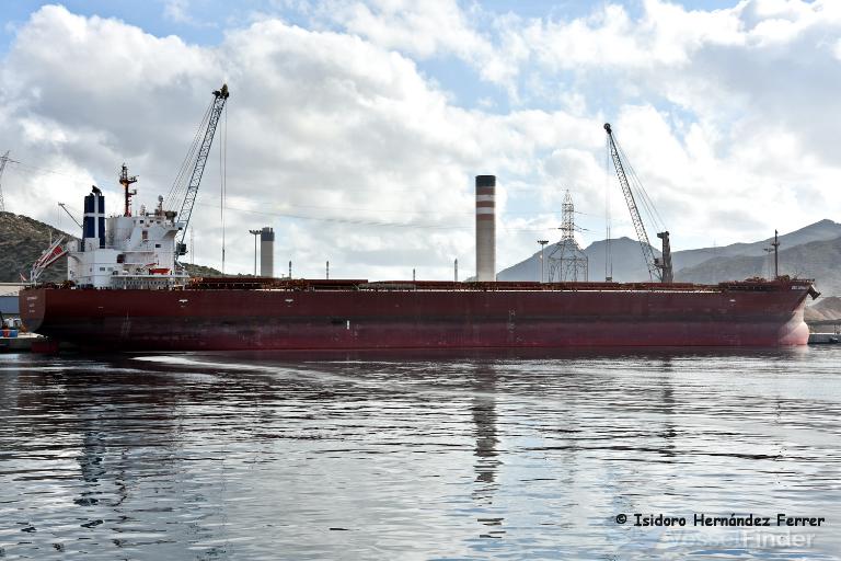 SEA COMMANDER, Bulk Carrier - Schiffsdaten und aktuelle Position - IMO ...
