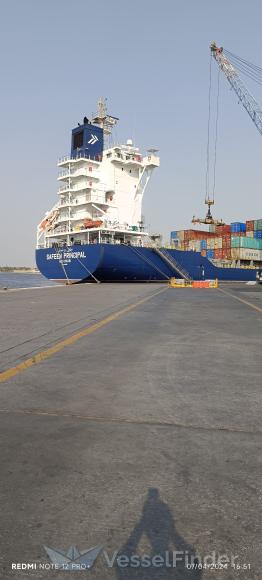 SAFEEN PRINCIPAL photo