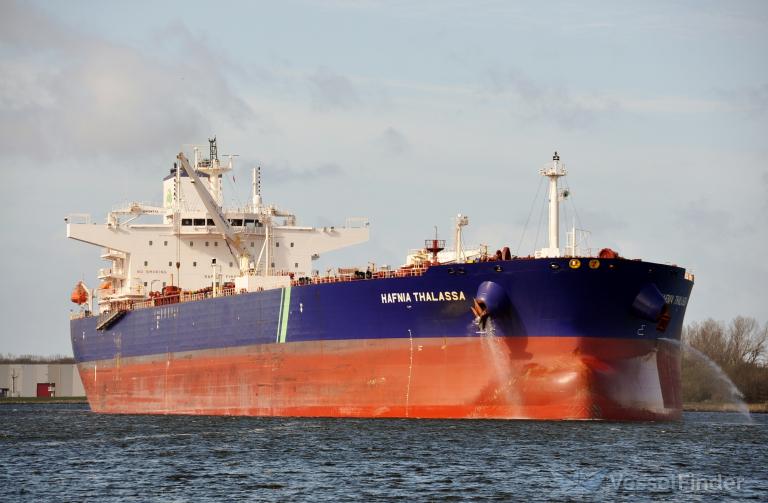 HAFNIA THALASSA photo