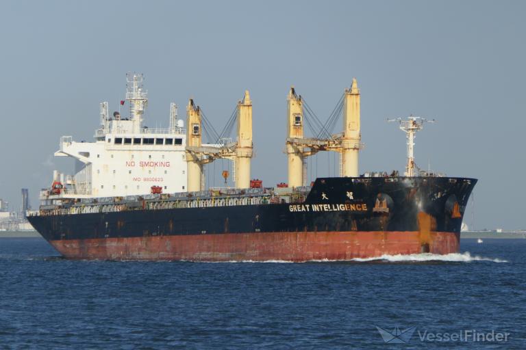 GREAT INTELLIGENCE photo