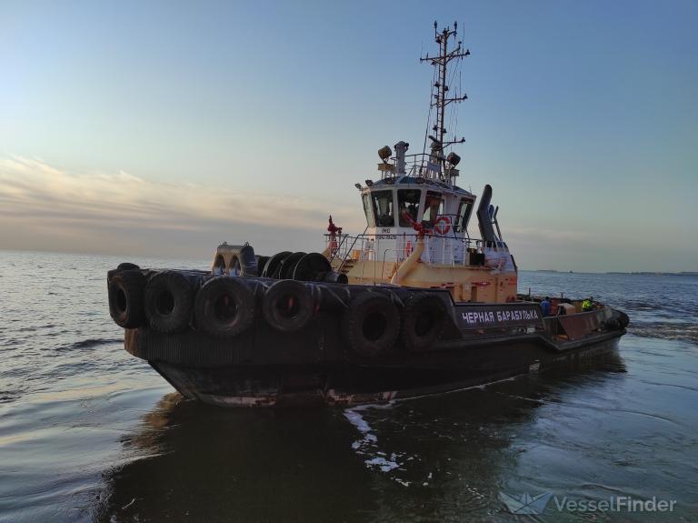 CHERNAYA BARABULKA photo