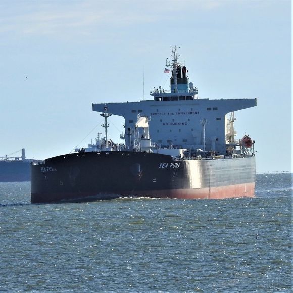bateau puma bateau puma