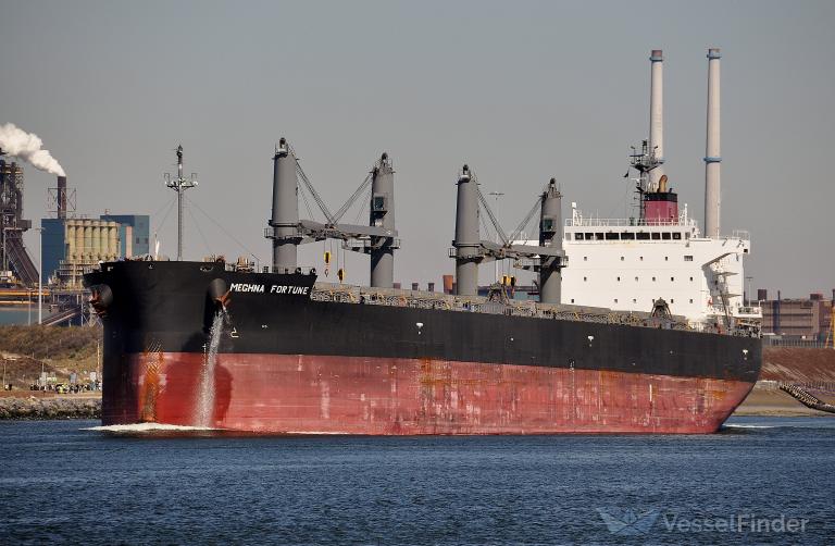 MEGHNA FORTUNE photo