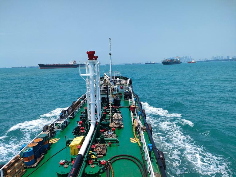 SEA DIGNITY photo