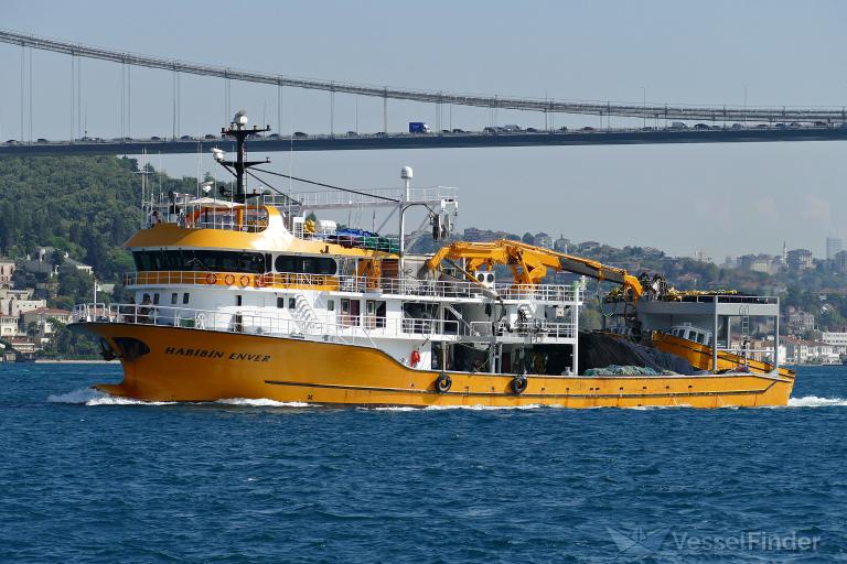 HABIBIN ENVER photo