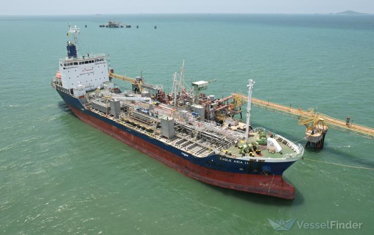EAGLE ASIA 11 photo