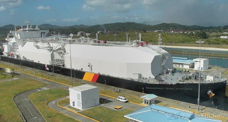 DIAMOND GAS SAKURA photo