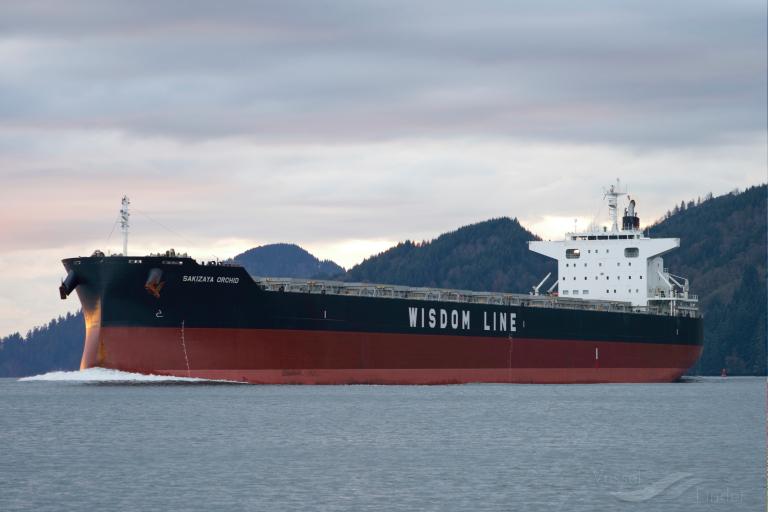 SAKIZAYA ORCHID photo