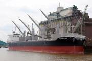 RISING WIND, Bulk Carrier - Details and current position - IMO 9582984 -  VesselFinder